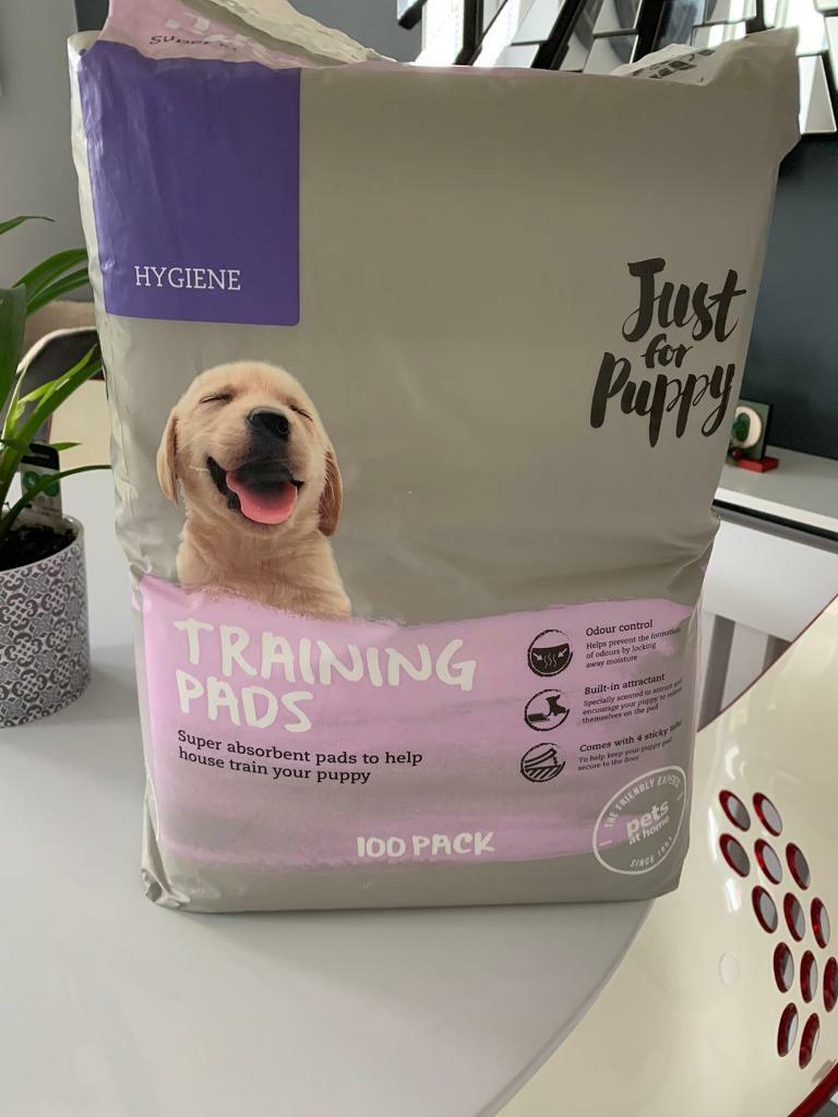 puppy training pads pets at home